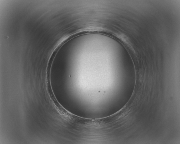 X0000061101229200511241607