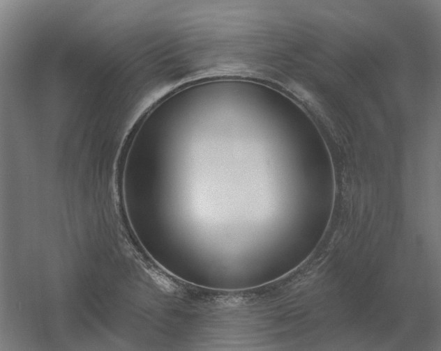 X0000061101230200511241607