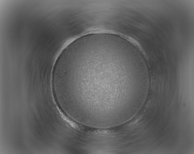 X0000061101231200511241607