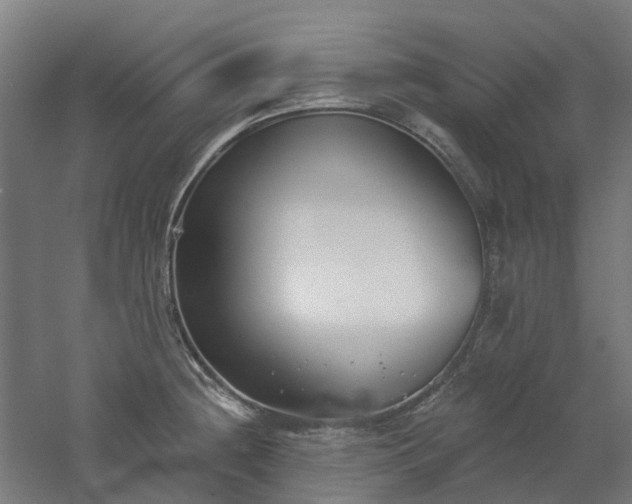 X0000061101236200511241607