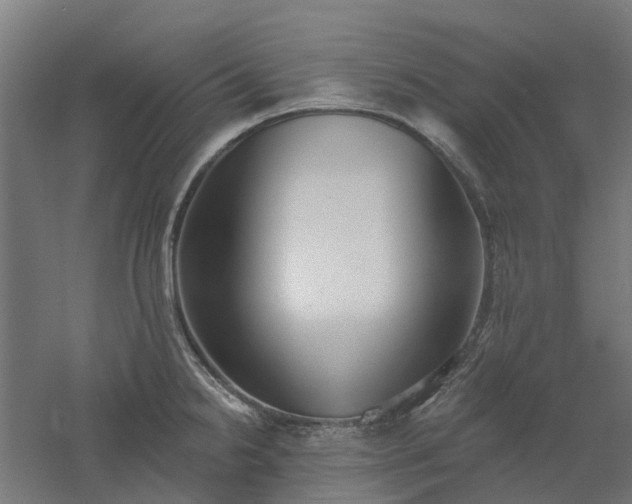 X0000061101238200511241607