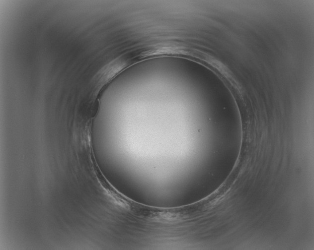 X0000061101241200511241607