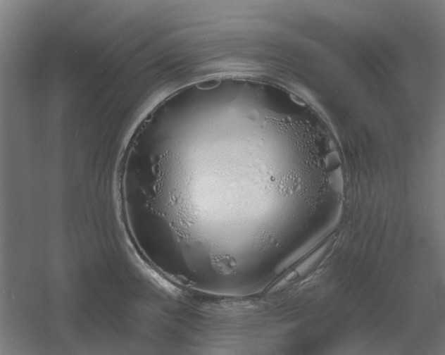 X0000061101243200511241607