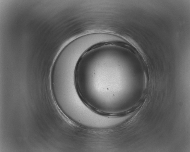 X0000061101246200511241607