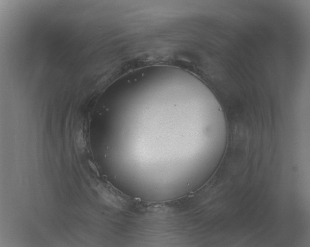 X0000061101250200511241606