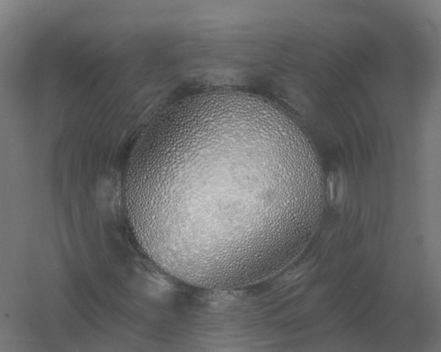 X0000061101251200511241606