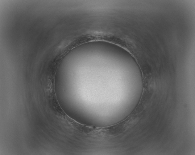 X0000061101253200511241606