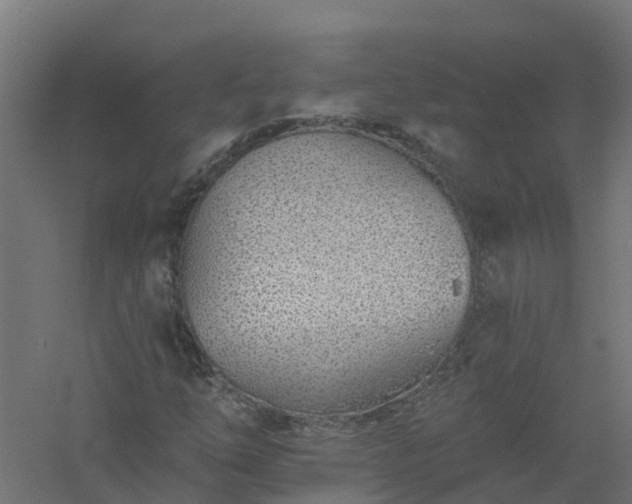 X0000061101254200511241606
