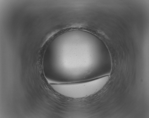 X0000061101256200511241606