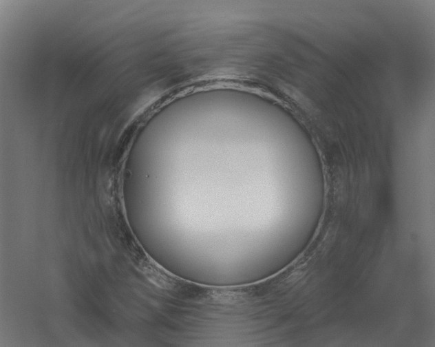 X0000061101258200511241606
