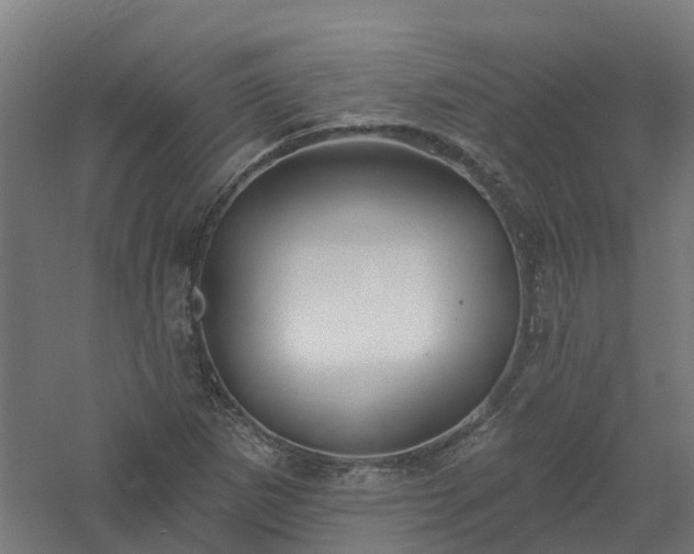 X0000061101265200511241606