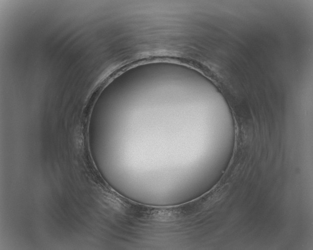 X0000061101266200511241606