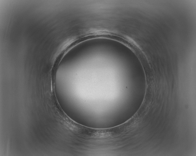 X0000061101269200511241606