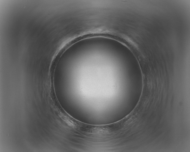 X0000061101270200511241606