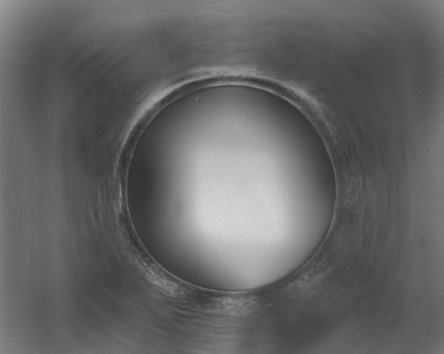 X0000061101271200511241606