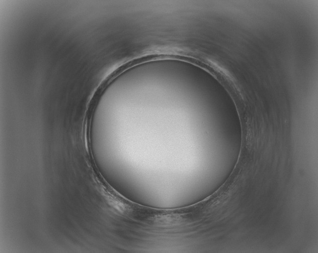 X0000061101272200511241606