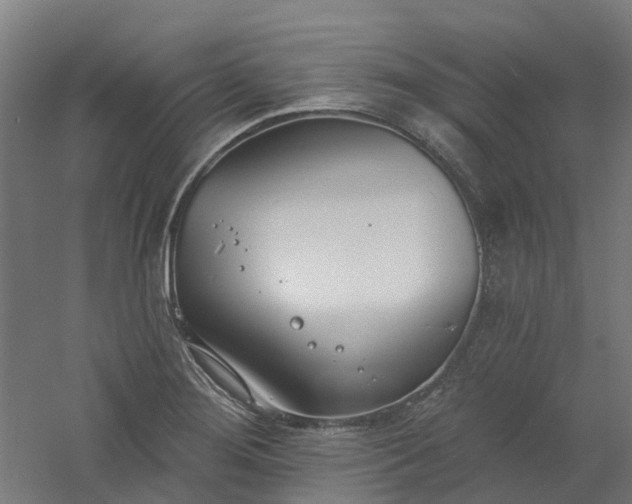 X0000061101276200511241606