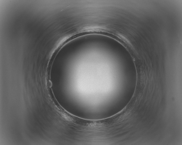 X0000061101277200511241606