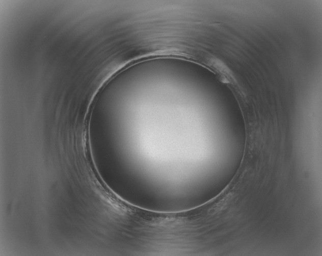 X0000061101284200511241606