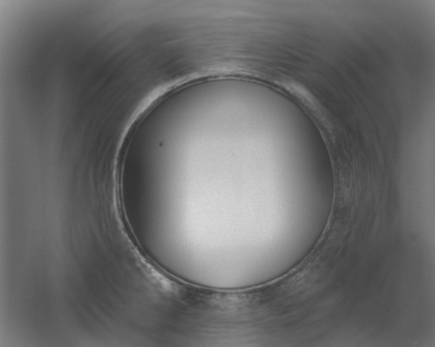 X0000061101286200511241606