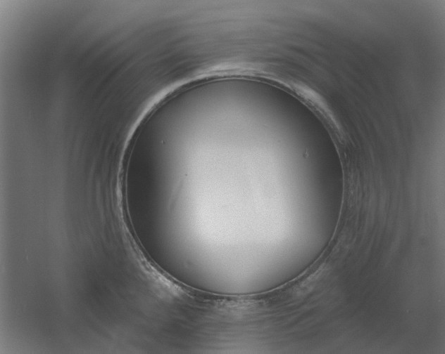 X0000061101288200511241606