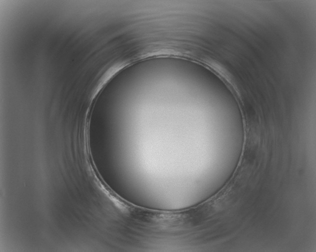 X0000061101290200511241606