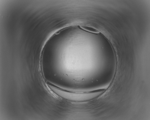 X0000061101296200511241606