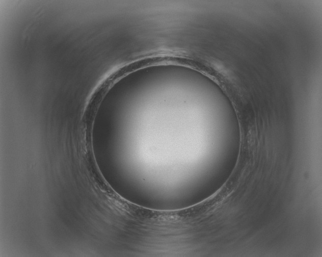 X0000061101310200511241605