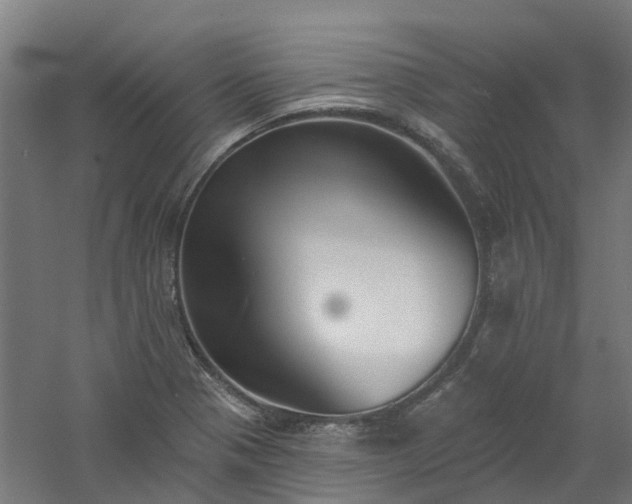 X0000061101321200511241605