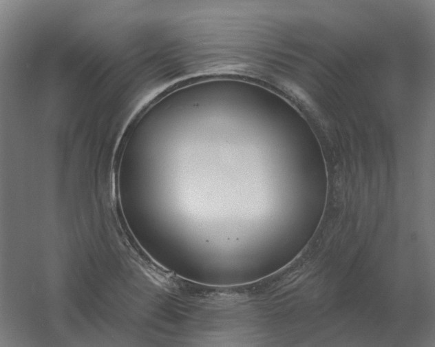 X0000061101324200511241605