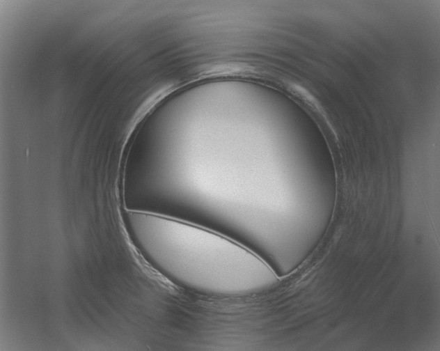 X0000061101330200511241605