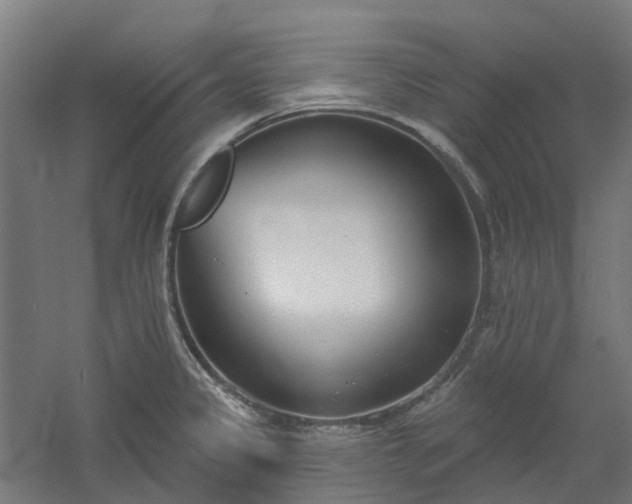 X0000061101333200511241605