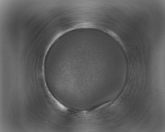 X0000061101334200511241605