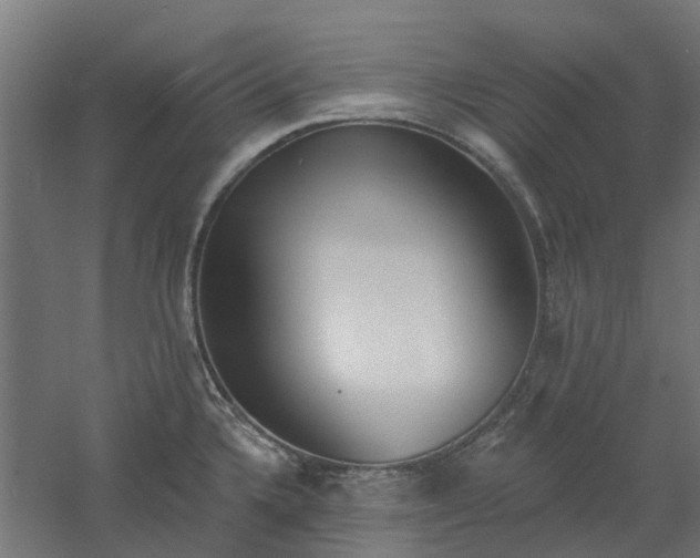 X0000061101336200511241605