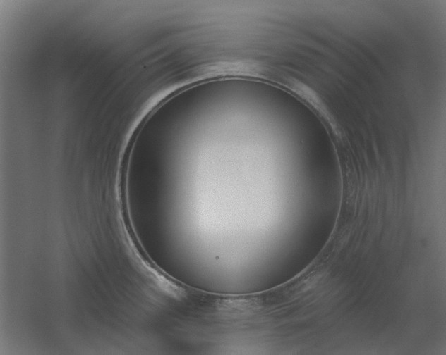 X0000061101339200511241605
