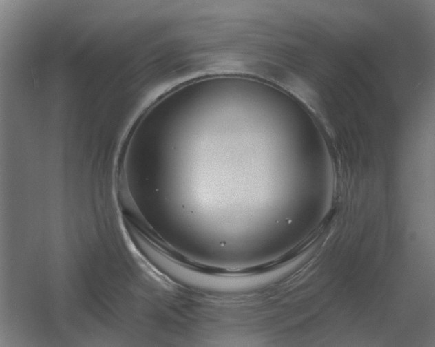X0000061101342200511241606
