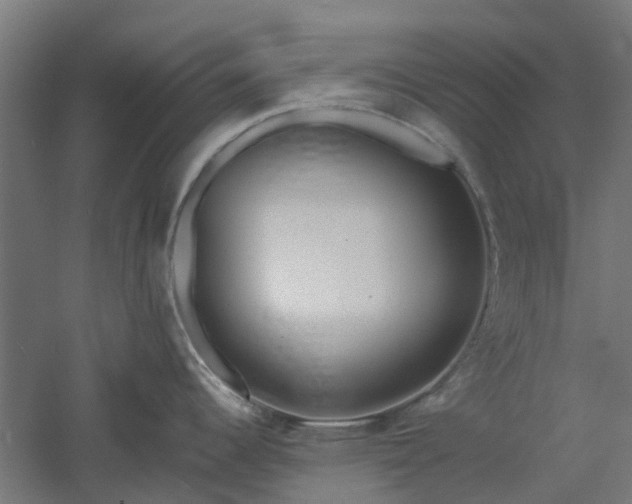 X0000061101344200511241606