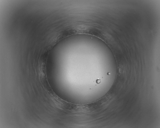 X0000061101346200511241605