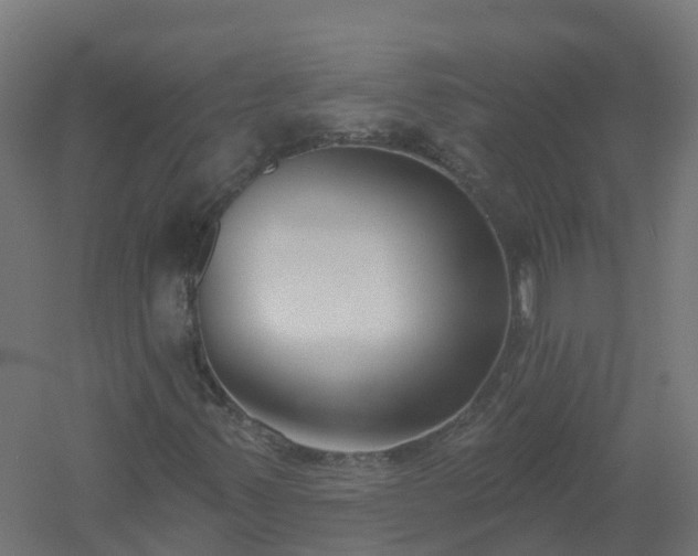 X0000061101347200511241605