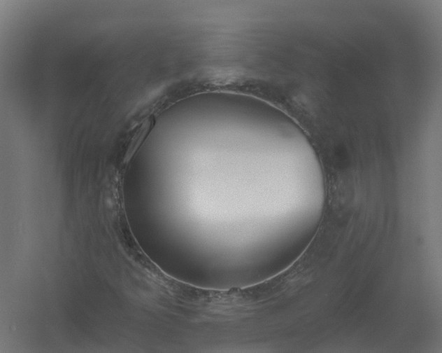 X0000061101349200511241605
