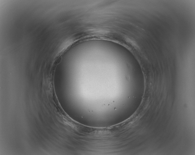 X0000061101354200511241605