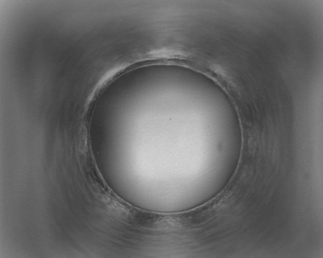 X0000061101358200511241604