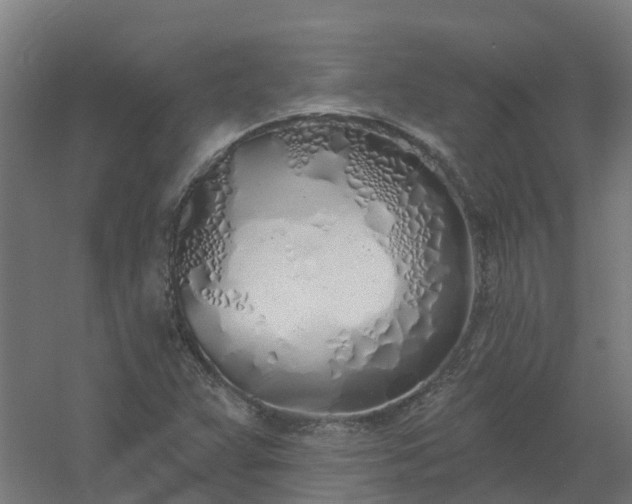 X0000061101359200511241604
