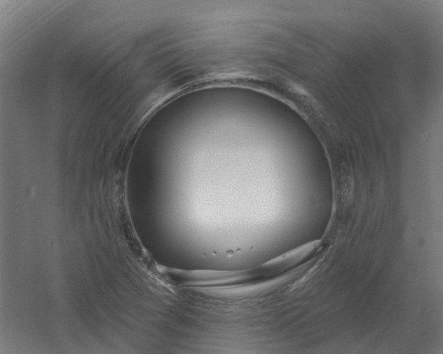 X0000061101361200511241604