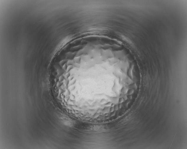 X0000061101362200511241604