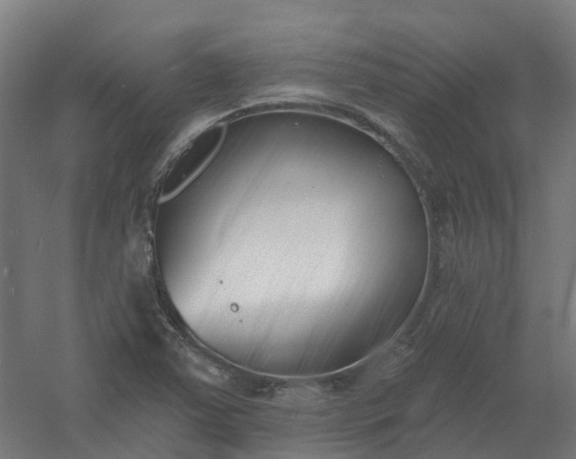 X0000061101363200511241604