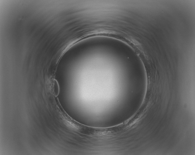 X0000061101369200511241604