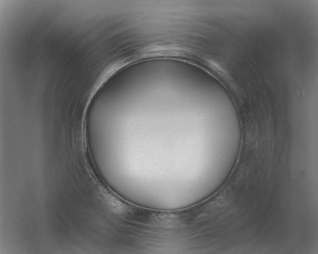 X0000061101370200511241604