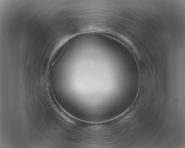 X0000061101373200511241604