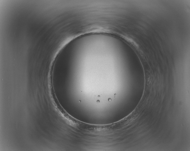 X0000061101375200511241604